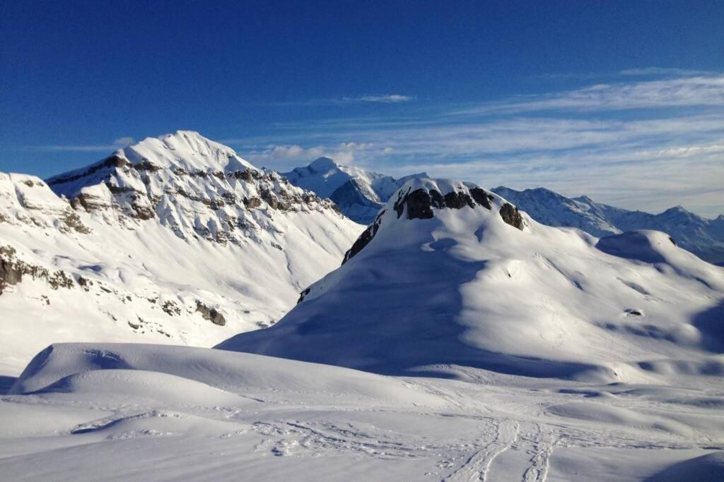 Ferienwohnung Eden Roc Grand Massif Les Carroz-d'Araches Exterior foto